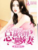 宠妻无度：总裁的醉猫娇妻