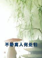 不盼离人何处归