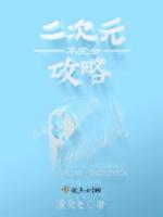 二次元不完全攻略