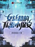 女总裁的私密小保安