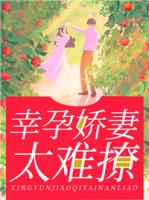 幸孕娇妻太难撩