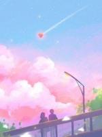 白月光假死九次后，恨我的老公一夜白头