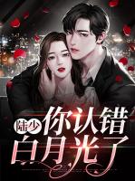 陆少，你认错白月光了