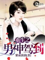 重生之男神驾到