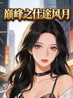 巅峰之仕途风月