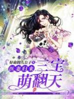 医妻归来三宝萌翻天