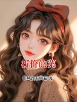 折价的菜