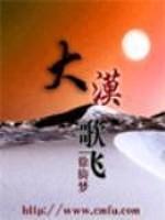 大漠歌飞